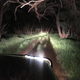 Illustration for article titled A Remarkable Adventure